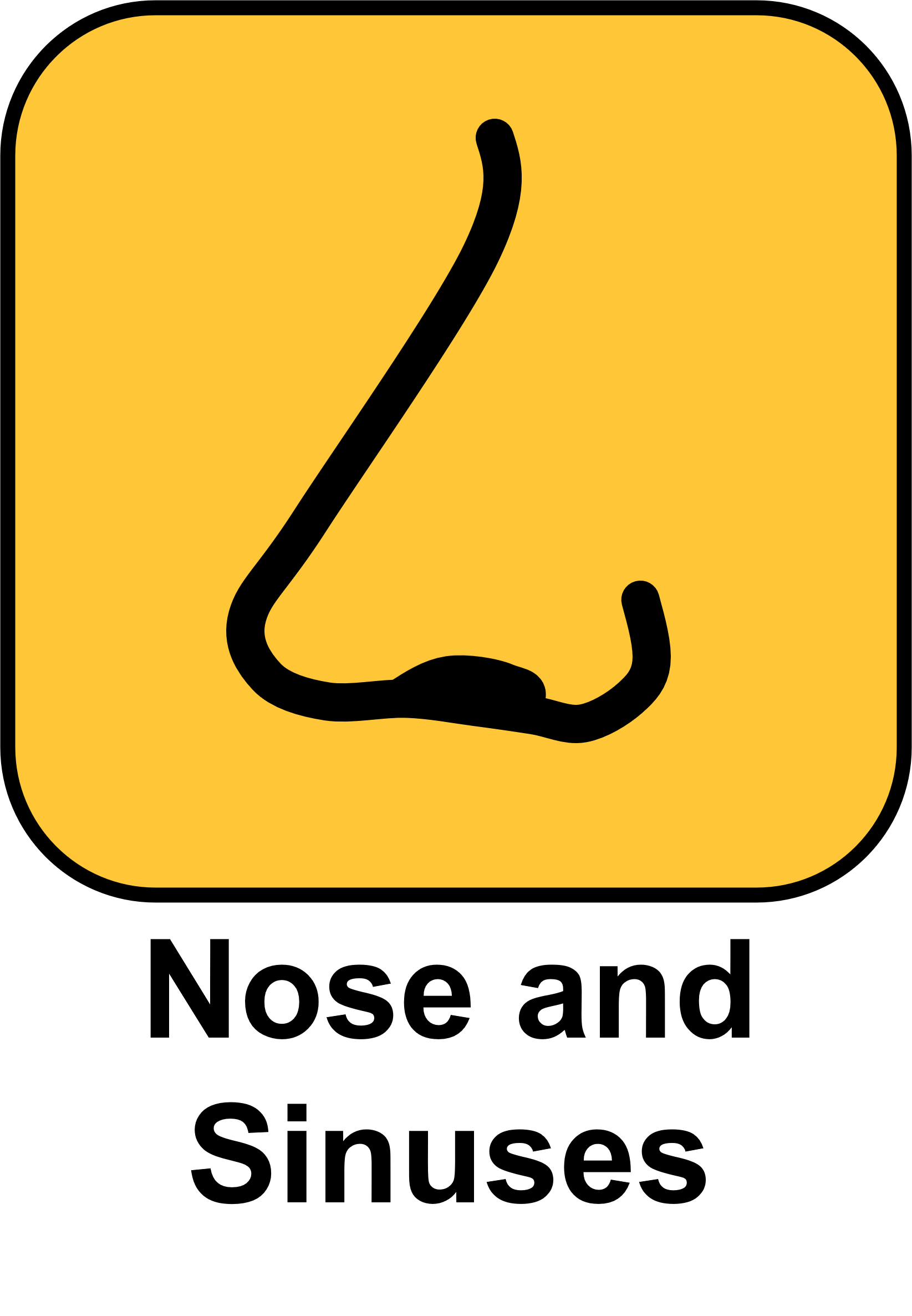 Surgery - Operation Information